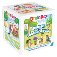 Asmodee Czech Republic BrainBox Domácí maznáčikovia - SK