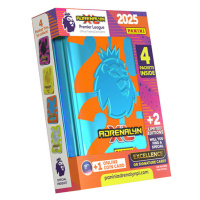 Panini Books Futbalové karty Panini Premier League 2024/2025 Adrenalyn Pocket Tin (plechová krab