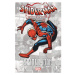 Marvel Spider-Verse: Amazing Spider-Man