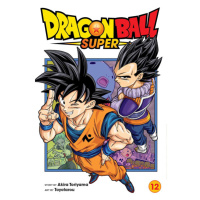 Viz Media Dragon Ball Super 12