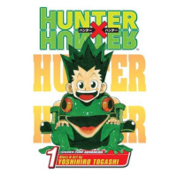 Viz Media Hunter x Hunter 01