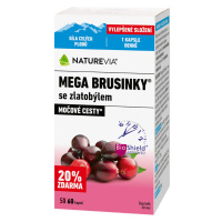 NATUREVIA Mega brusnice so zlatobyĺou 60 ks