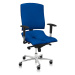 ASANA Seating Ergonomická kancelárska stolička Asana Steel Standard Farba čalúnenia: Eko koža Mo
