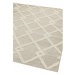 Krémovobiely vonkajší koberec 80x150 cm Monty – Asiatic Carpets