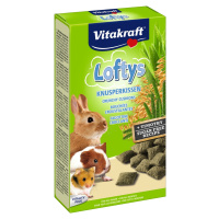 Vitakraft VK Lofty s 100g /10