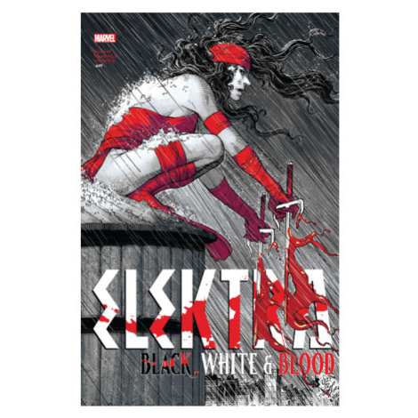 Marvel Elektra: Black, White & Blood Treasury Edition