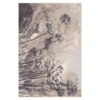 Krémovo-sivý vlnený koberec 133x180 cm Lissey – Agnella