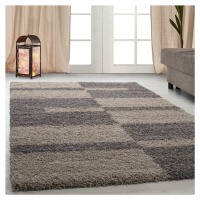 Kusový koberec Gala 2505 taupe - 140x200 cm Ayyildiz koberce