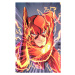 Insight Editions DC Comics The New 52: The Poster Collection