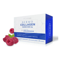 SALUTEM DermoCollagen marine 3500 mg pro venus  prášok vo vrecúškach s malinovou príchuťou 30 ku