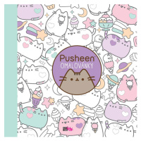 COOBOO Pusheen Omalovánky