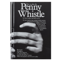 MS How To Play The Penny Whistle