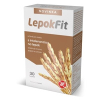 SALUTEM Pharma lepokfit 30 tabliet