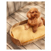 Bavlnený pelech pre psa v horčicovej farbe 50x80 cm Trufa – Kave Home