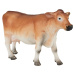 Mojo Jerseyská krava