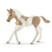 Schleich 13886 Žriebä plemená Paint Horse