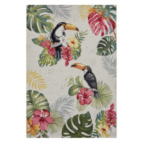 Kusový koberec Flair 105608 Tropical Dream Creme Multicolored – na ven i na doma - 80x165 cm Han