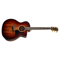 Taylor 224ce-K DLX C-Class Bracing