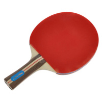 Gametime Raketa na stolný tenis drevená 25cm