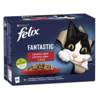 FELIX Fantastic cat Multipack mäsový výber v želé kapsičky pre mačky 12x85g