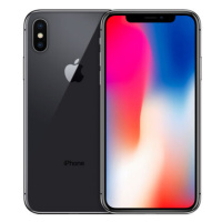 Apple iPhone X 256GB vesmírne šedý