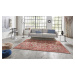 Kusový koberec Asmar 104018 Orient/Red - 80x150 cm Nouristan - Hanse Home koberce