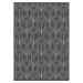 Čierno-biely vonkajší koberec 80x150 cm Pangli Black – Hanse Home