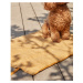 Bavlnená deka pre psa v horčicovej farbe 50x70 cm Trufa – Kave Home