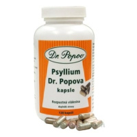 DR. POPOV PSYLLIUM ZN. PSYLLICOL 120ks