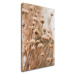 Impresi Obraz Škandinávsky štýl suchá tráva - 40 x 60 cm