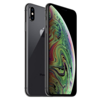 Apple iPhone XS Max 64GB vesmírne šedý