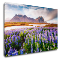 Impresi Obraz Horská krajina s kvety - 60 x 40 cm