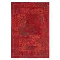 Kusový koberec Celebration 103467 Plume Red - 80x150 cm Hanse Home Collection koberce