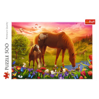 Trefl Puzzle 500 - Kone na lúke