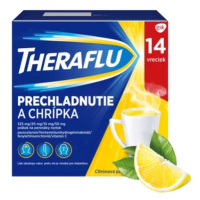 THERAFLU Prechladnutie a chrípka 14 vreciek