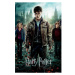 Plagát Harry Potter - Deathly Hallows (53)