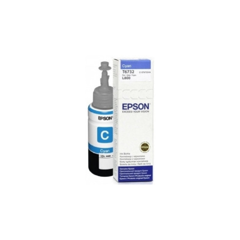 Epson T6732