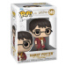 Funko POP! Harry Potter Chamber of Secrets Anniversary: Harry Potter