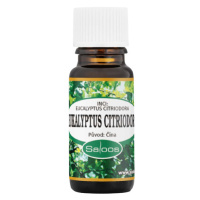 SALOOS Eukalyptus Citriodora 10 ml