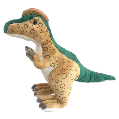 Dilophosaurus 48 cm