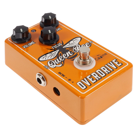 Caline QUEEN BEE OVERDRIVE