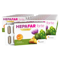 6-mesačná HEPAFAR forte Premium kúra