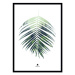 Plagát v ráme 50x70 cm Palm Leaf – Malerifabrikken