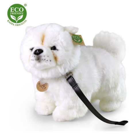 Rappa Plyšový psík Čau-čau 30 cm Eco Friendly