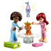 LEGO® Friends 41740 Aliyina izba