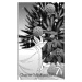 Seven Seas Entertainment Ancient Magus' Bride 06