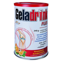 GELADRINK Plus pomaranč 340 g