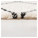 Kusový koberec Dakari Kush Berber Ivory Rozmery kobercov: 160x230