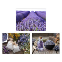Obrazy v súprave 3 ks 30x40 cm Lavender – Casa Selección