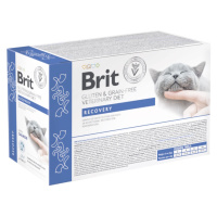 BRIT Veterinary Diét Cat Pouch fillets in Gravy Recovery 12 x 85 g